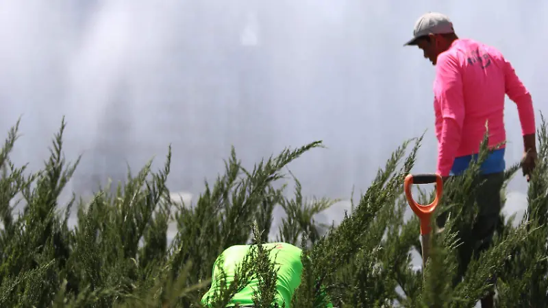 La Minerva Aurelio Magaña 18 03 26